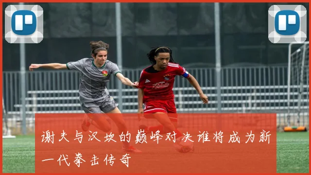 谢夫与汉坎的巅峰对决谁将成为新一代拳击传奇