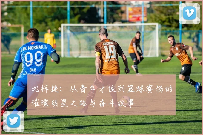 沈梓捷：从青年才俊到篮球赛场的璀璨明星之路与奋斗故事