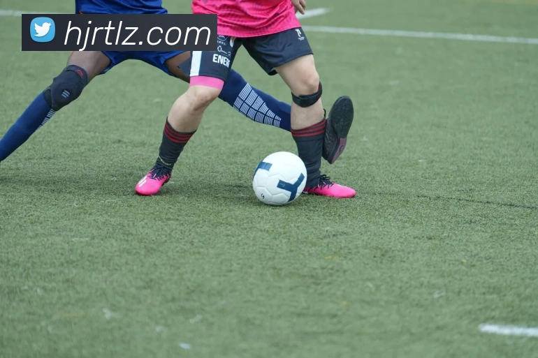 zoty中欧服务体系